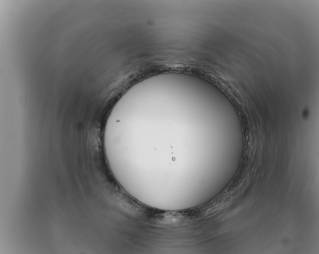X0000091070612200708061024