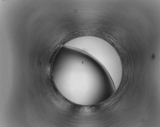 X0000091070613200708061024