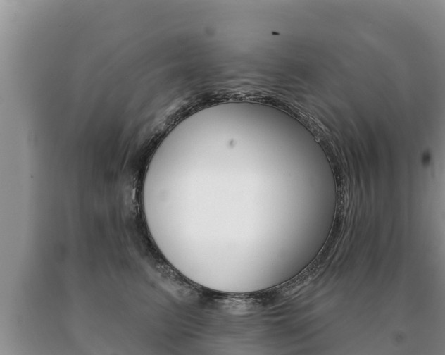 X0000091070615200708061024