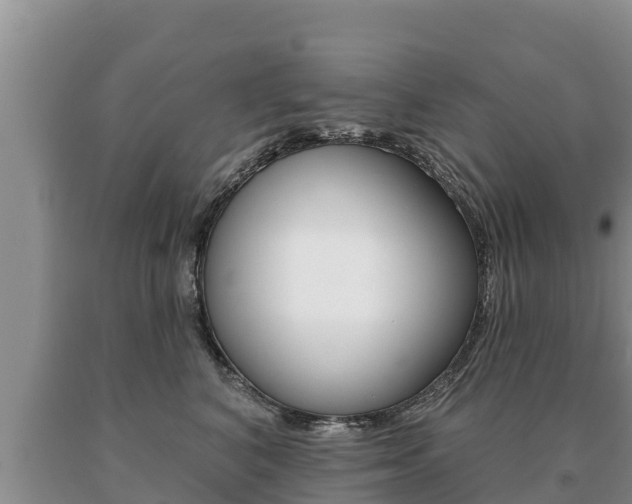 X0000091070616200708061024