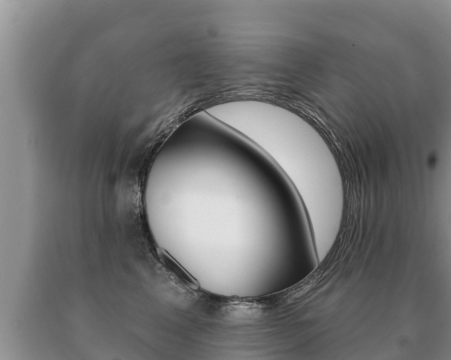 X0000091070617200708061024