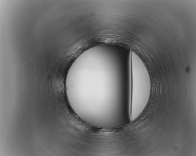 X0000091070620200708061024