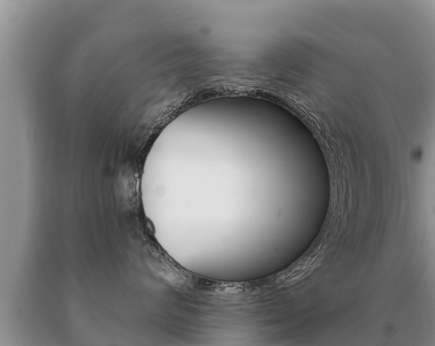 X0000091070624200708061024