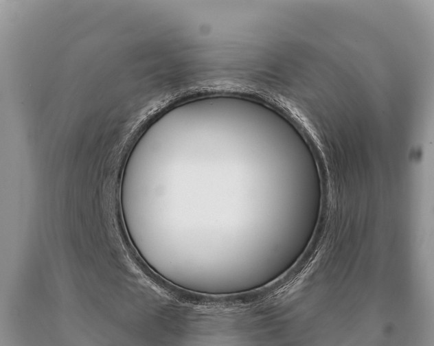 X0000091070625200708061023