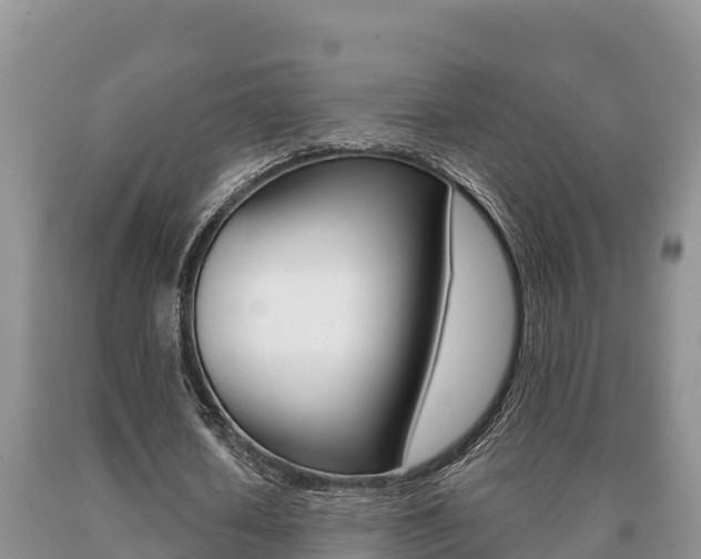 X0000091070626200708061023