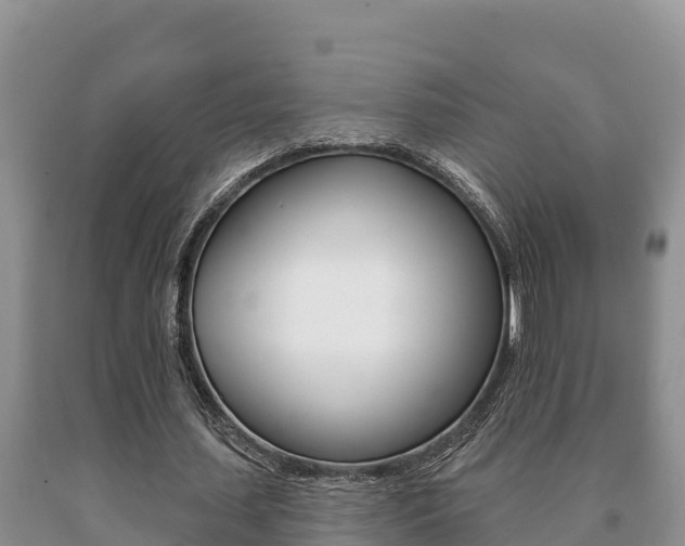 X0000091070627200708061023