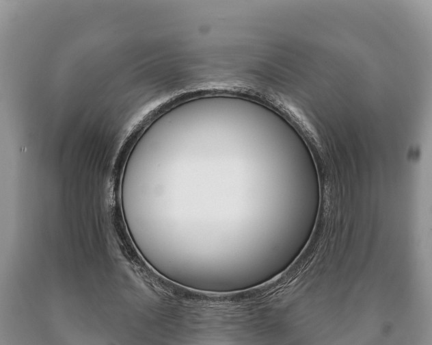 X0000091070628200708061023