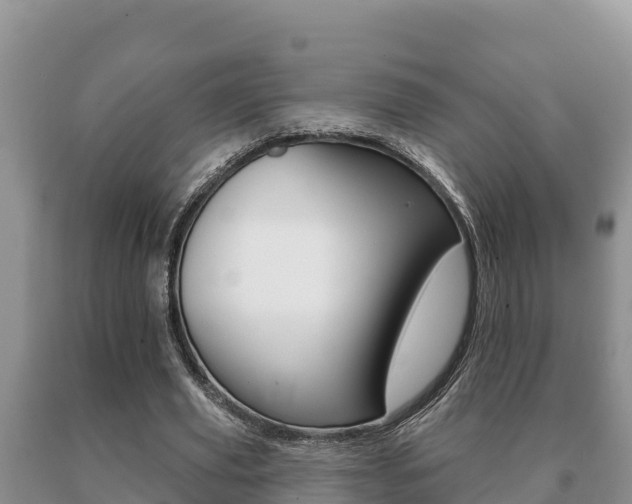 X0000091070629200708061023