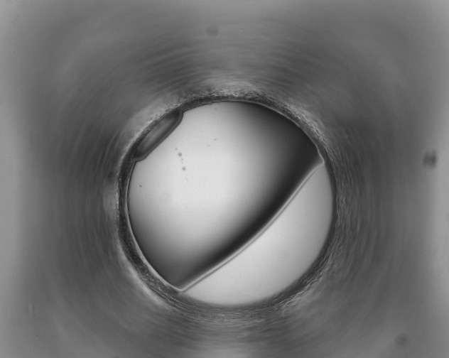 X0000091070630200708061023