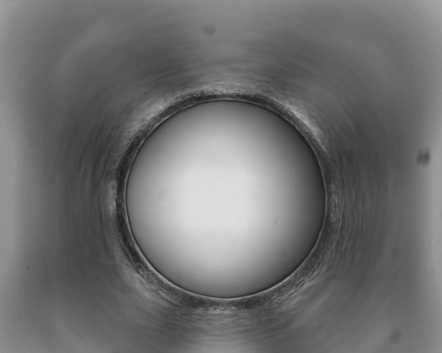 X0000091070631200708061023
