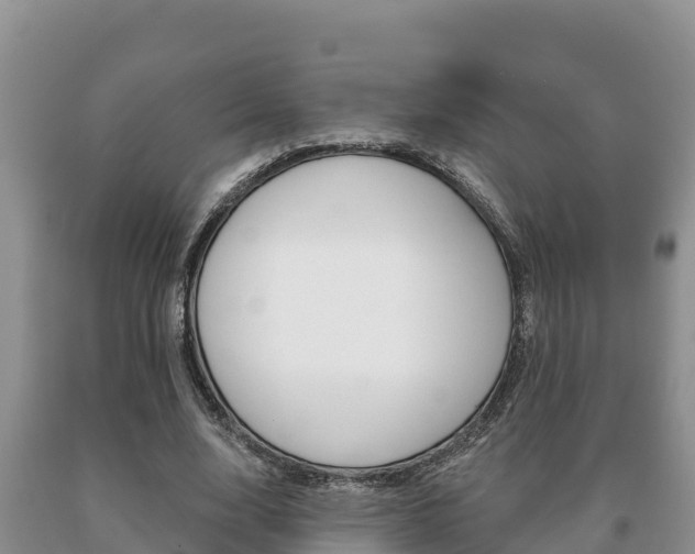 X0000091070632200708061023