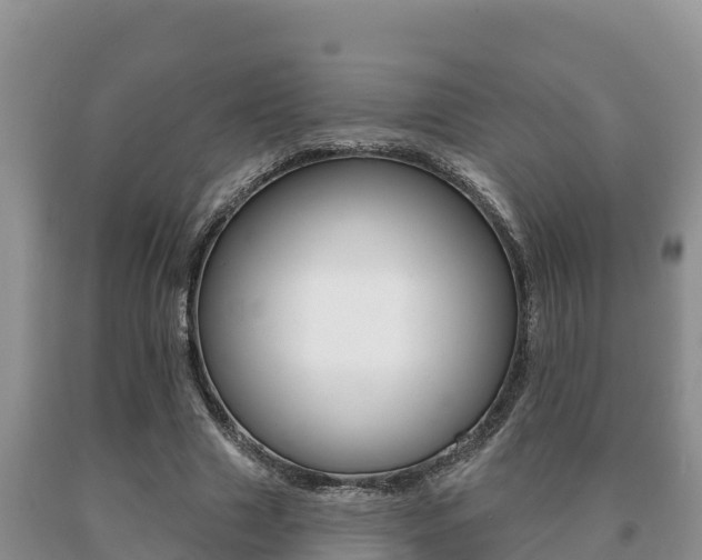 X0000091070633200708061023