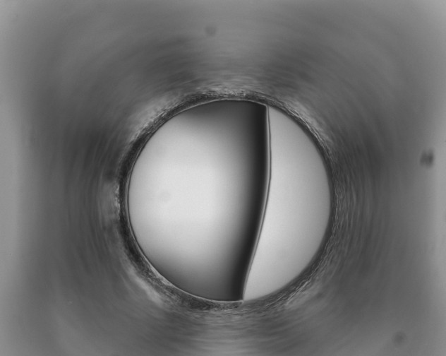 X0000091070634200708061023