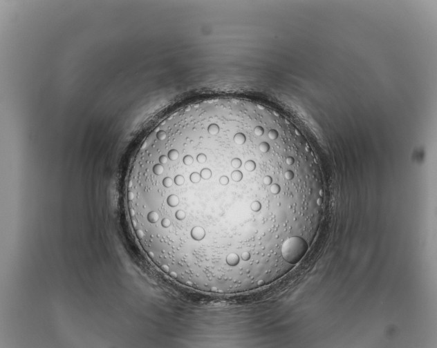 X0000091070635200708061023