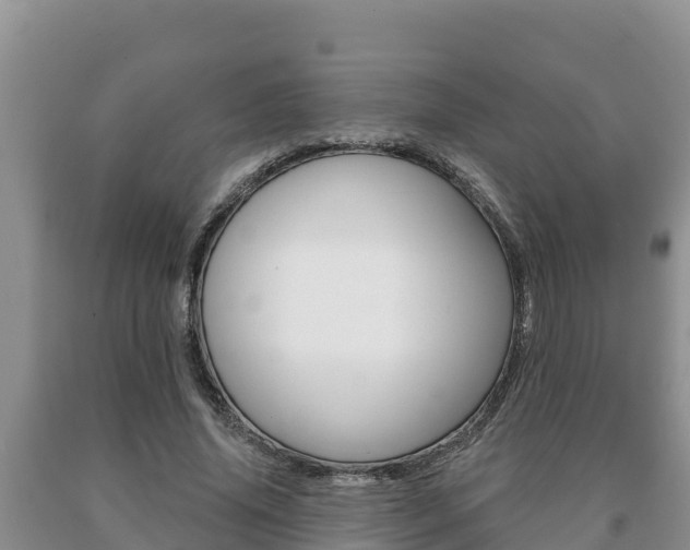 X0000091070636200708061023