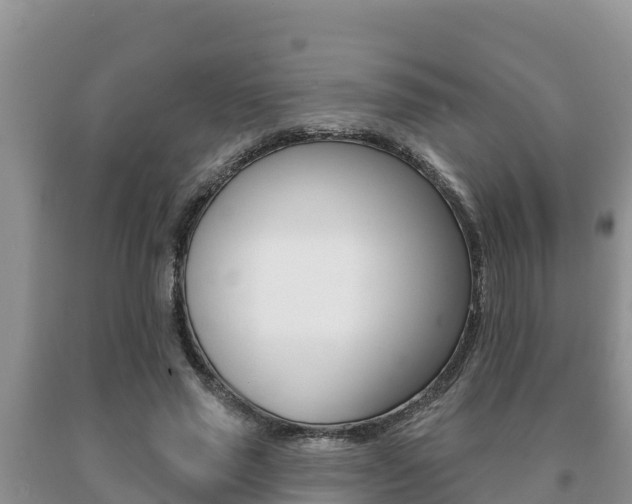 X0000091070637200708061023