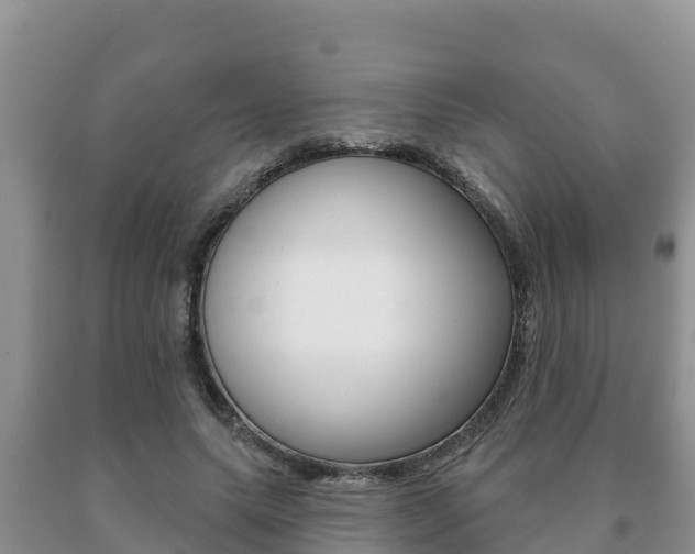 X0000091070639200708061024