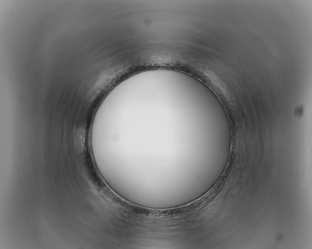 X0000091070640200708061024