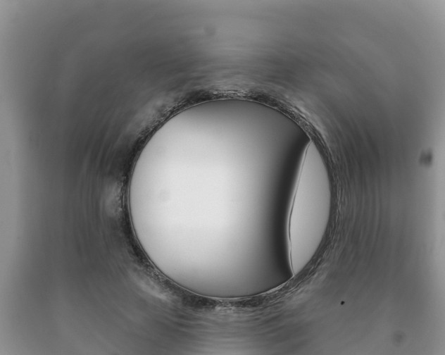 X0000091070641200708061024