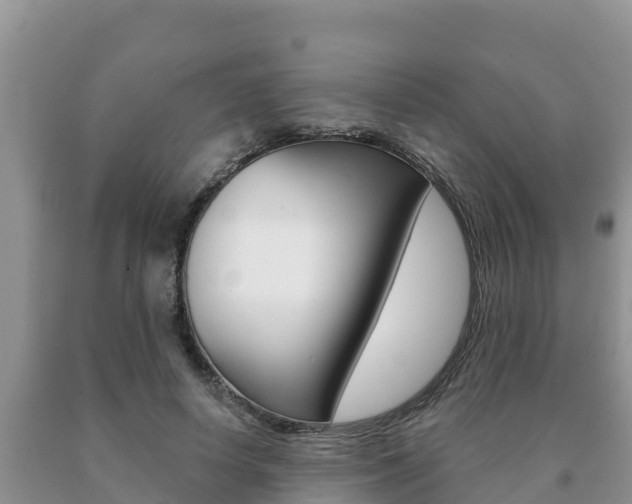 X0000091070642200708061024