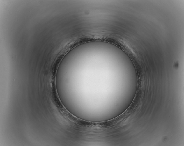 X0000091070643200708061024