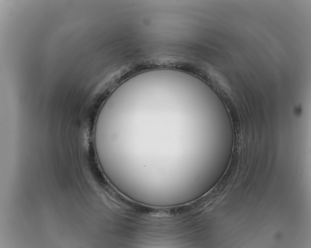 X0000091070644200708061024