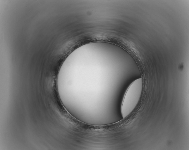X0000091070645200708061024