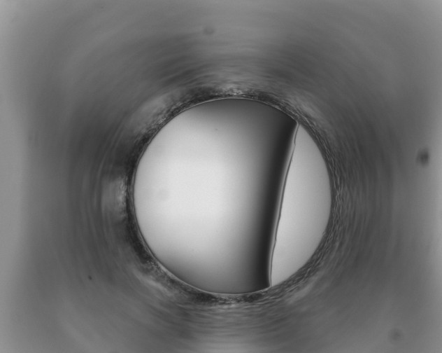 X0000091070646200708061024