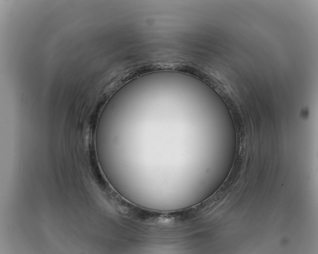 X0000091070647200708061024