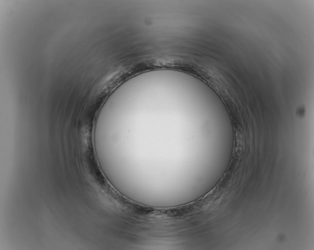 X0000091070648200708061024