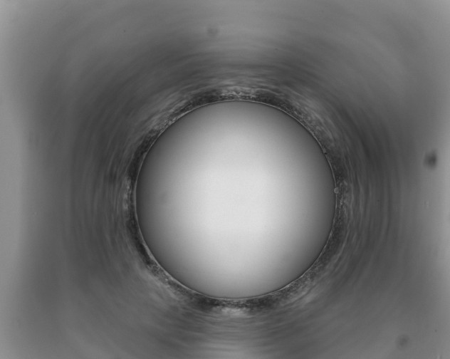 X0000091070649200708061024