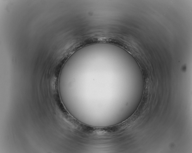 X0000091070650200708061024