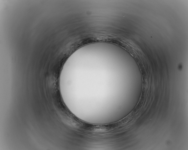 X0000091070653200708061024
