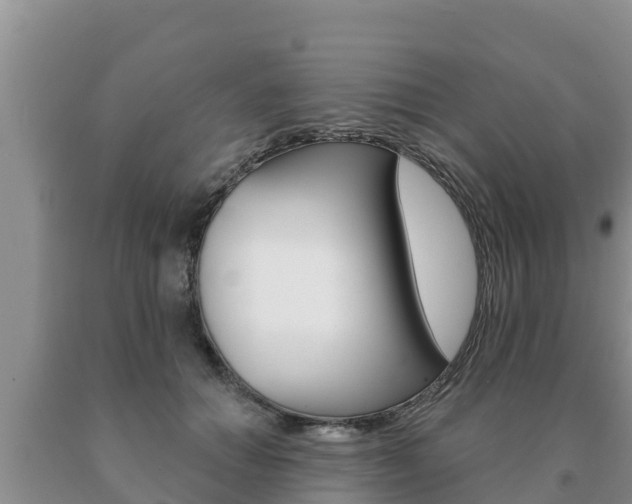 X0000091070654200708061024