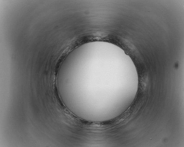 X0000091070657200708061024