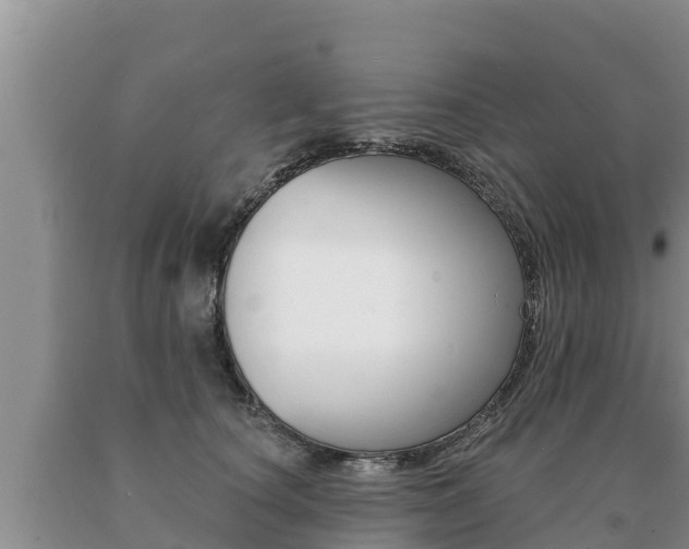 X0000091070660200708061024