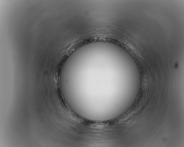 X0000091070661200708061024