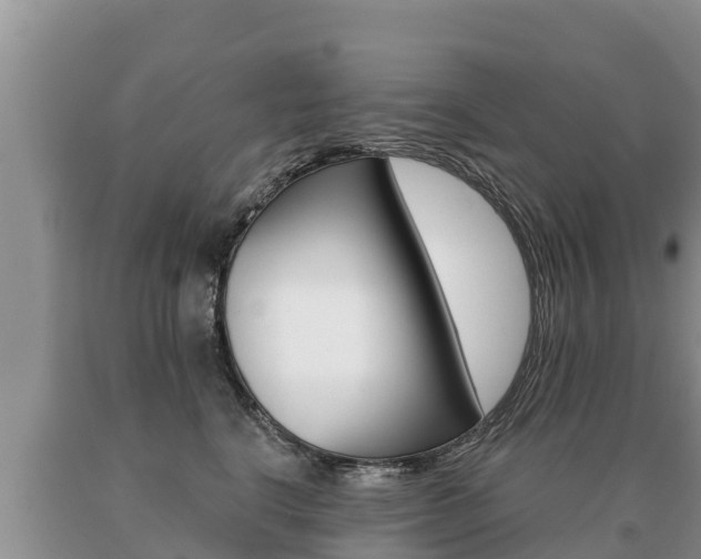 X0000091070664200708061024