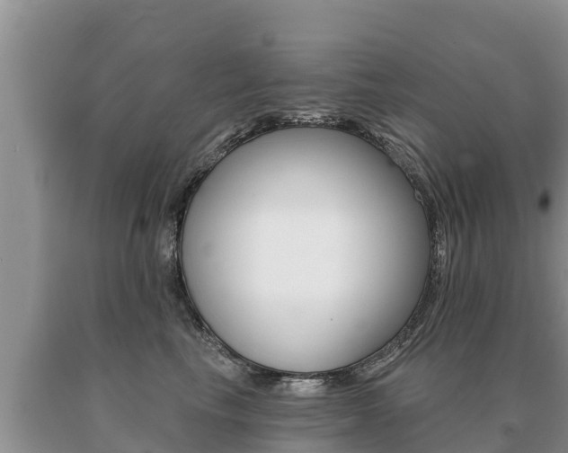 X0000091070665200708061024