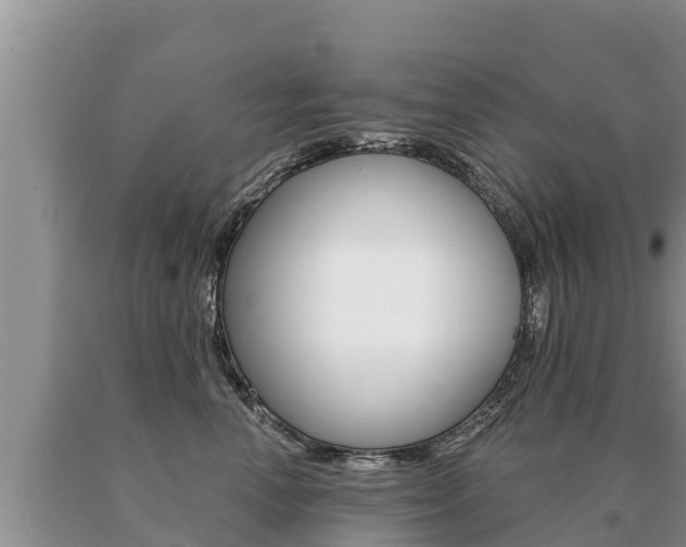 X0000091070666200708061024