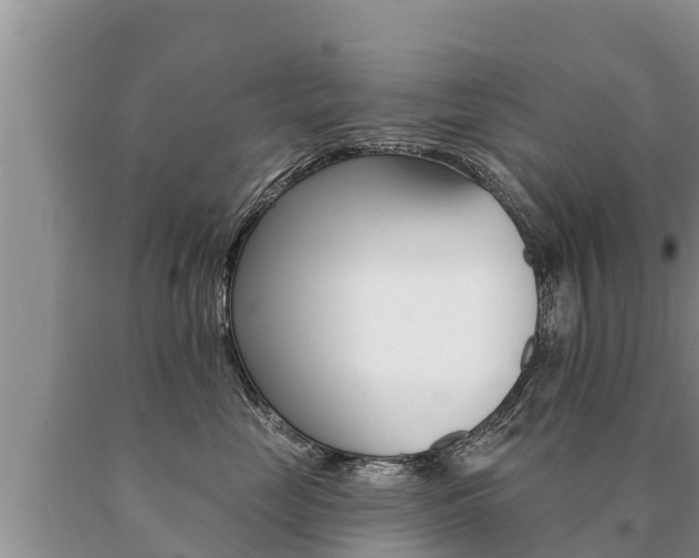 X0000091070669200708061024