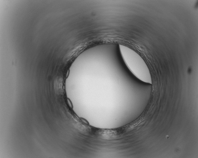 X0000091070670200708061024