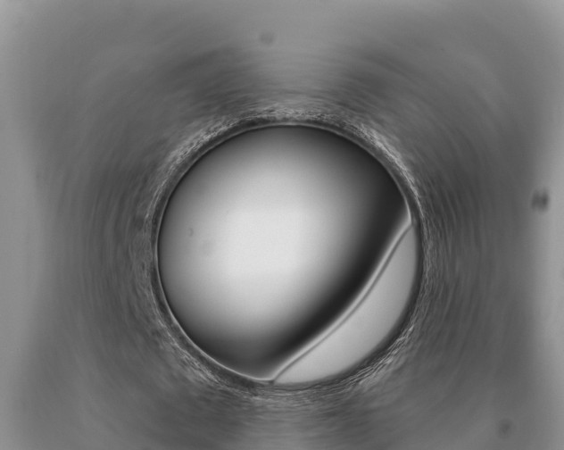 X0000091070673200708061023