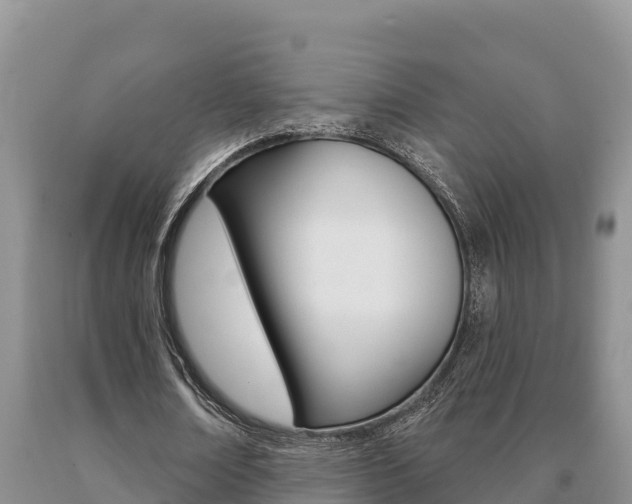 X0000091070674200708061023