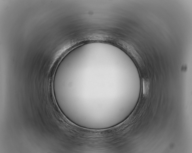X0000091070675200708061023