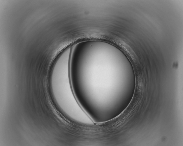 X0000091070677200708061023