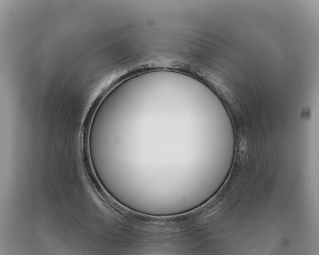 X0000091070678200708061023
