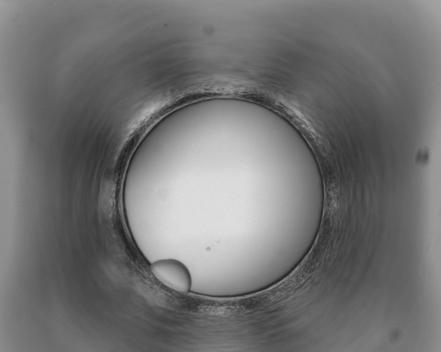 X0000091070679200708061023