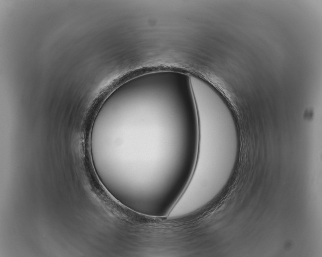 X0000091070680200708061023