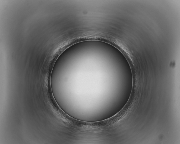 X0000091070681200708061023